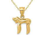 14K Yellow Gold Chai Charm Pendant Necklace with Chain